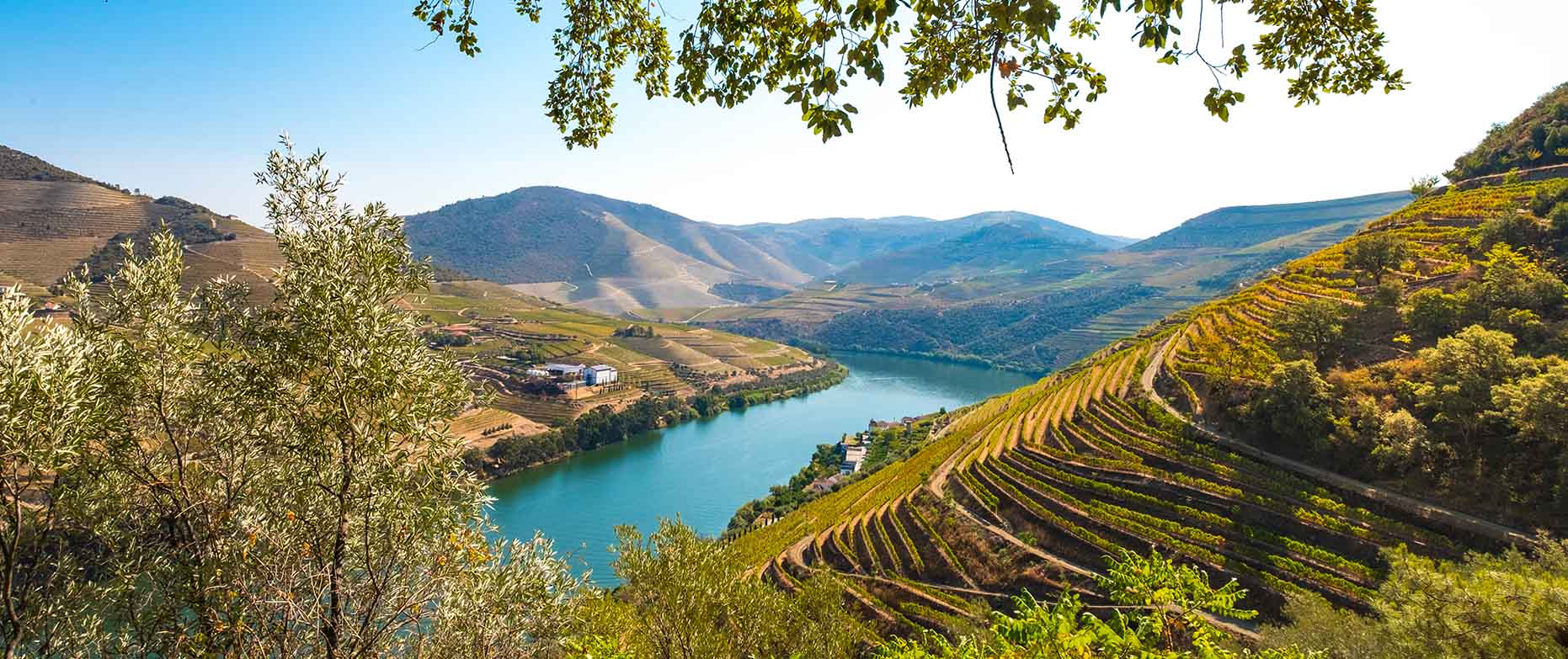 Douro River Cruises European River Cruises The Cruise Line